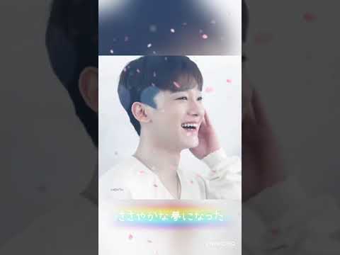 【和訳】Flower by Chen(EXO)