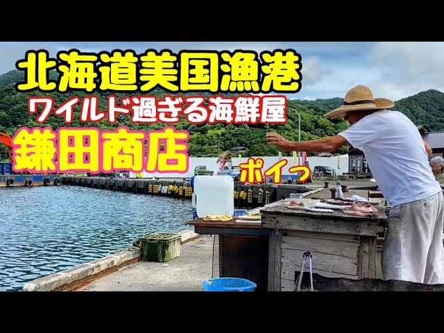 北海道海の幸 美国漁港の穴場 鎌田商店 ホッケ ホタテ ツブ 牡蠣 イカ エビ Youtube