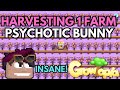 Harvesting 2600 psychotic bunny trees omg  growtopia profit 2024