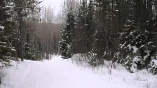 Famous Trailside Bicycles Presents: Salsa Cycles - Push Profile