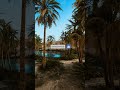 Saudi Arabia is turning its desert into green forest#shorts