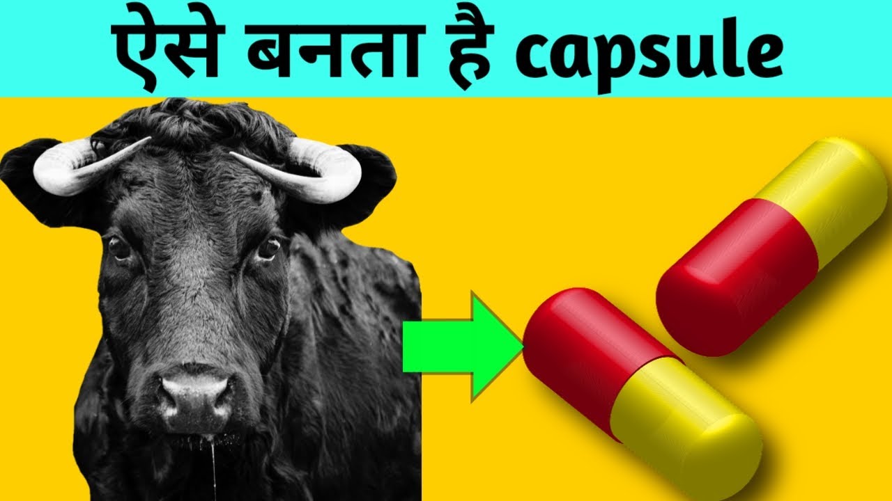 capsule kaise banta hai YouTube