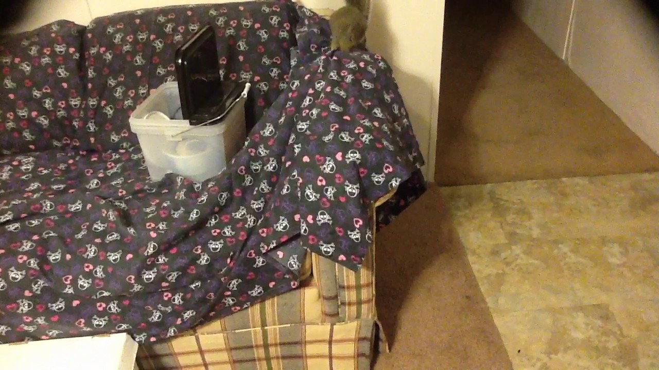 camera iphone 8 plus apk Baby playing with the sheets