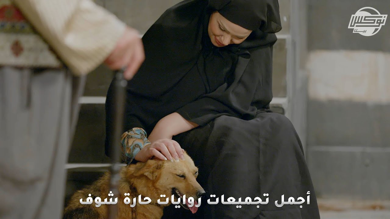 أجمل تجميعات روايات حارة شوف .. روايات: وفاء كلب - بيجرح وبدواي - الفراري - الورثة والملكية