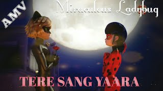 Miraculous hindi song :Tere Sang Yaara ft.Ladybug and Chat Noir