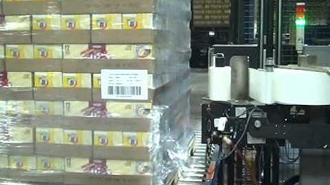 Pallet Labeling Leading Panel Swing Arm (Print Apply)