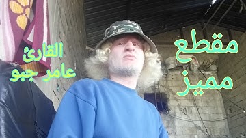 مقطع مميز من #سورة يوسف بصوت جميل #القارئ عامر جبو 🌷