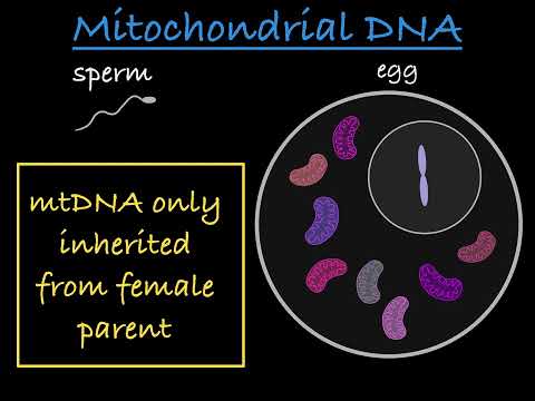 Non-Nuclear Inheritance Explained