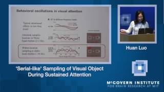 Huan Luo, Serial-like sampling of visual objects: McGovern Institute Symposium
Serial-like sampling of visual objects during sustained attention
Huan Luo, IDG/McGovern Institute, Peking University
November 8, 2016 Huan Luo, Serial-like sampling of visual objects: McGovern Institute Symposium