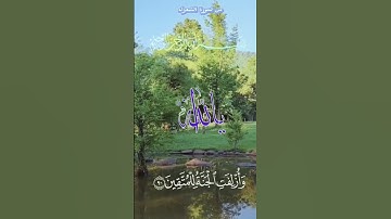 اللهم اجعل القرآن الكريم ربيع قلوبنا ونور صدورنا تحية طيبة #اكسبلور #الرحمن #shortvideo #النظافه