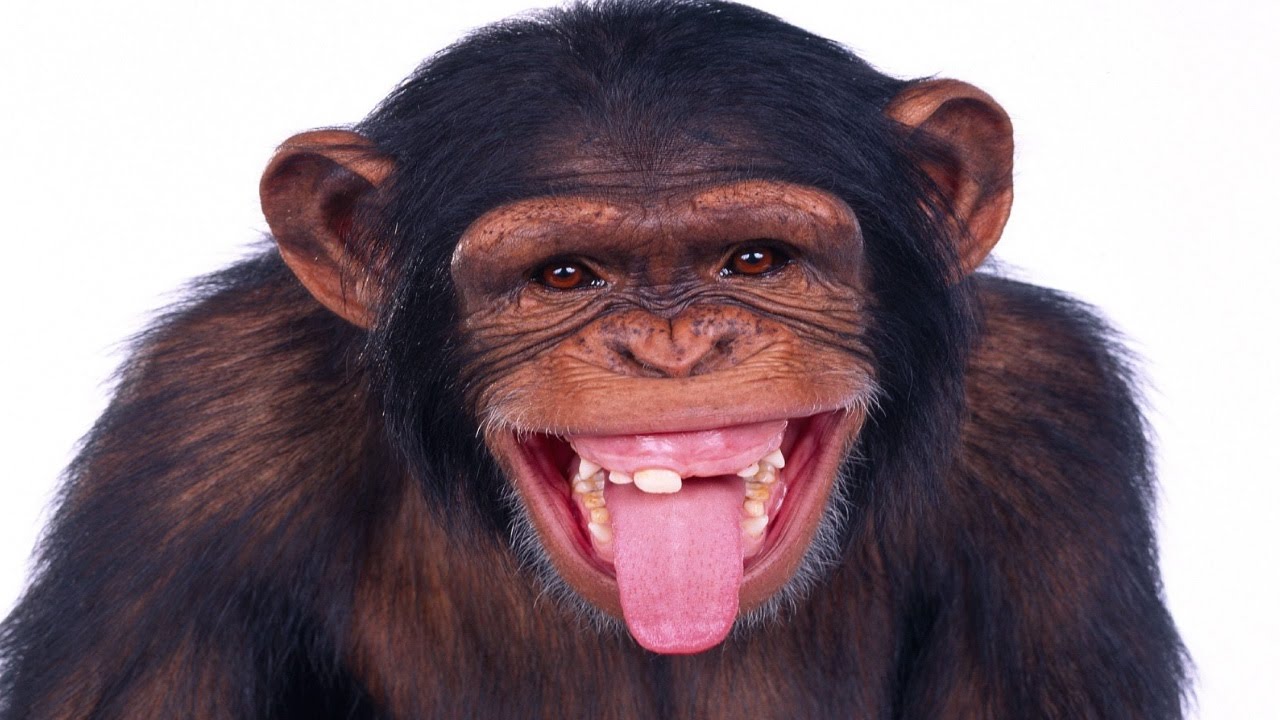 Магия удачи. Мой тотем.