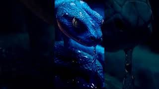 3d snake 4k vedio// ☠💀 Denger HD with 4k status #best #trending