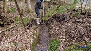 Водоемы забиты опавшими листьями.