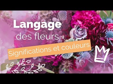 Vidéo: Des Fleurs En Cadeau : Comment Choisir Le Bon Bouquet