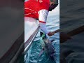 ルアー投げたら巨大マグロが喰いついてきた!ド迫力ファイトがヤバすぎるww