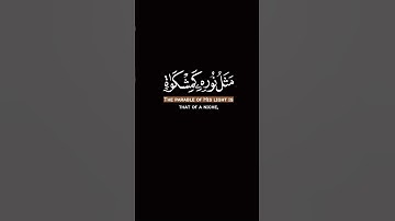 الله نور السموات والأرض|محمد صديق المنشاوي|سوره النور |الحمد لله كما هو أهله 🤎⭐.