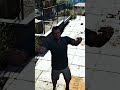 Redragon - Noticia GTA VI