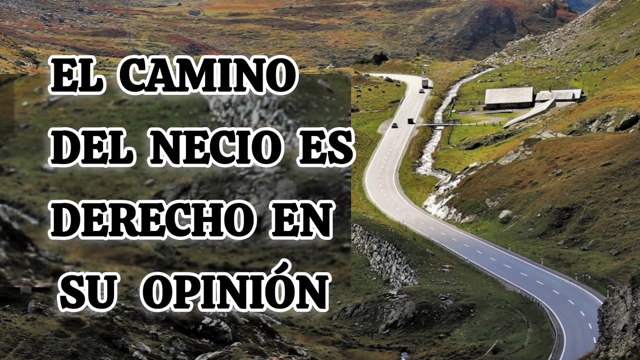 EL CAMINO DEL NECIO ES DERECHO EN SU OPINIÓN | PROVERBIOS 12:15 - YouTube
