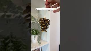 dancing pinecone DIY