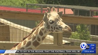 Destination New York: Animal Adventure Park is home to famous giraffe