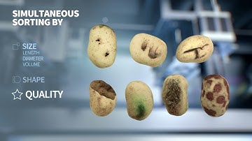 Newtec Optical Grading of Potatoes by Quality, Size and Shape, SHORT VERSION