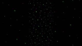 Particle Life Simulation - 2026-06-17