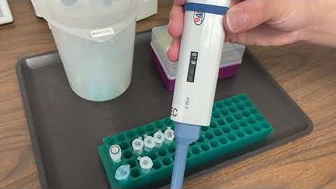 Lab Demo: DNA Forensics Restriction Digest