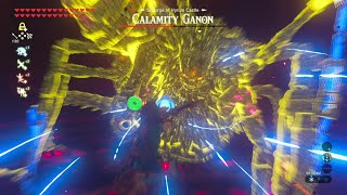 Beating Calamity Ganon In 10 Seconds