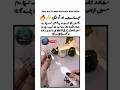 Make Decorative Bulb Holder || Best Quotes || Life Hacks || Good Idia || Motivational #shorts