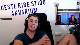 Arrom Prica Fore Za Muvanje