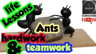 Life lessons from Ants | Ant Philosophy| Hardwork and Teamwork | Motivational Video