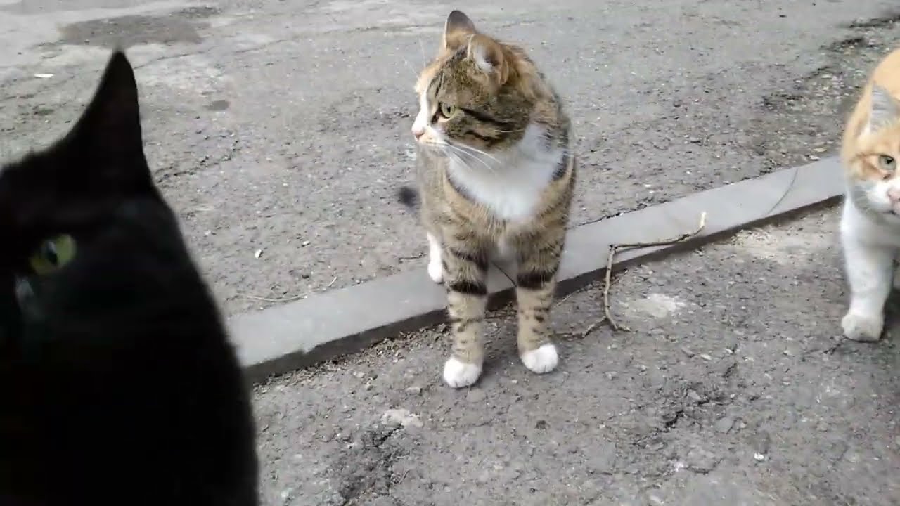 Старый центр Тбилиси.