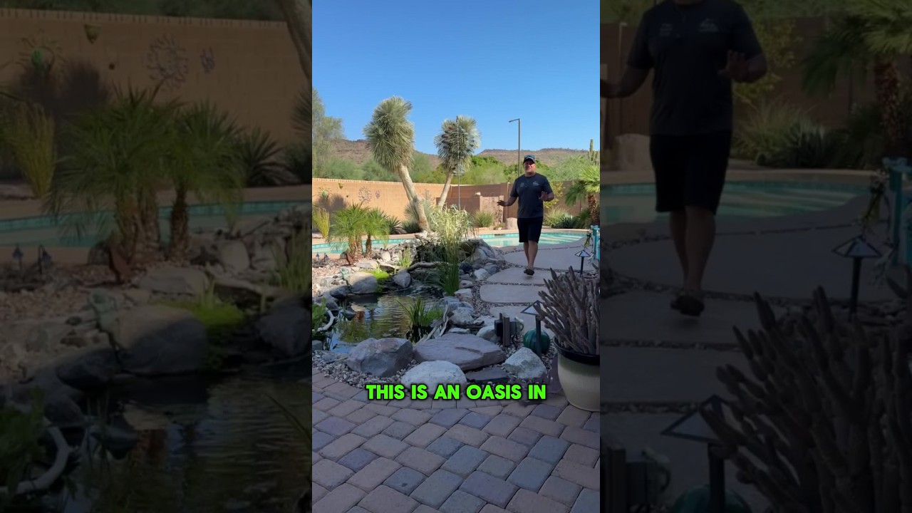 The best way to cool of in Arizona! 🤩
