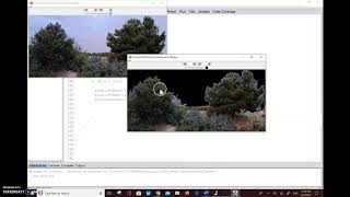 Famous M5 EXPLAIN: Conditional Execution Profile