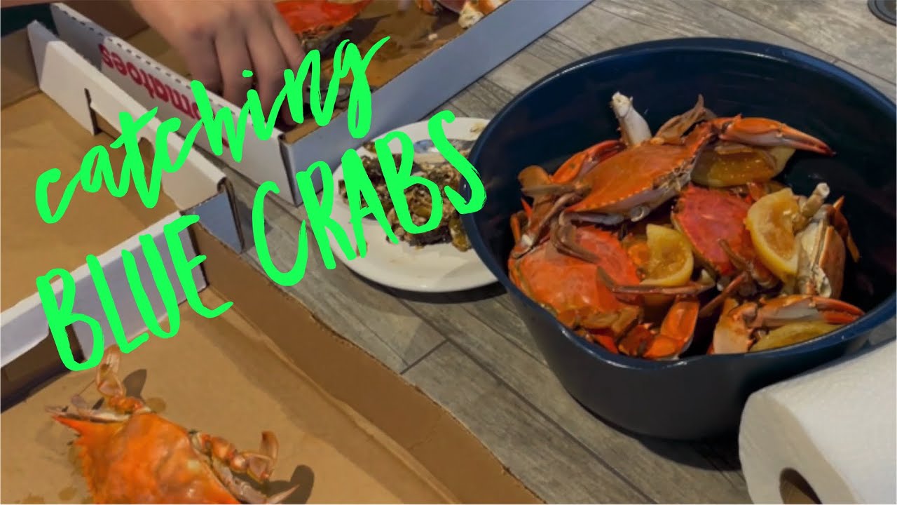 Chickie And Petes All You Can Eat Blue Crabs – DXGO
