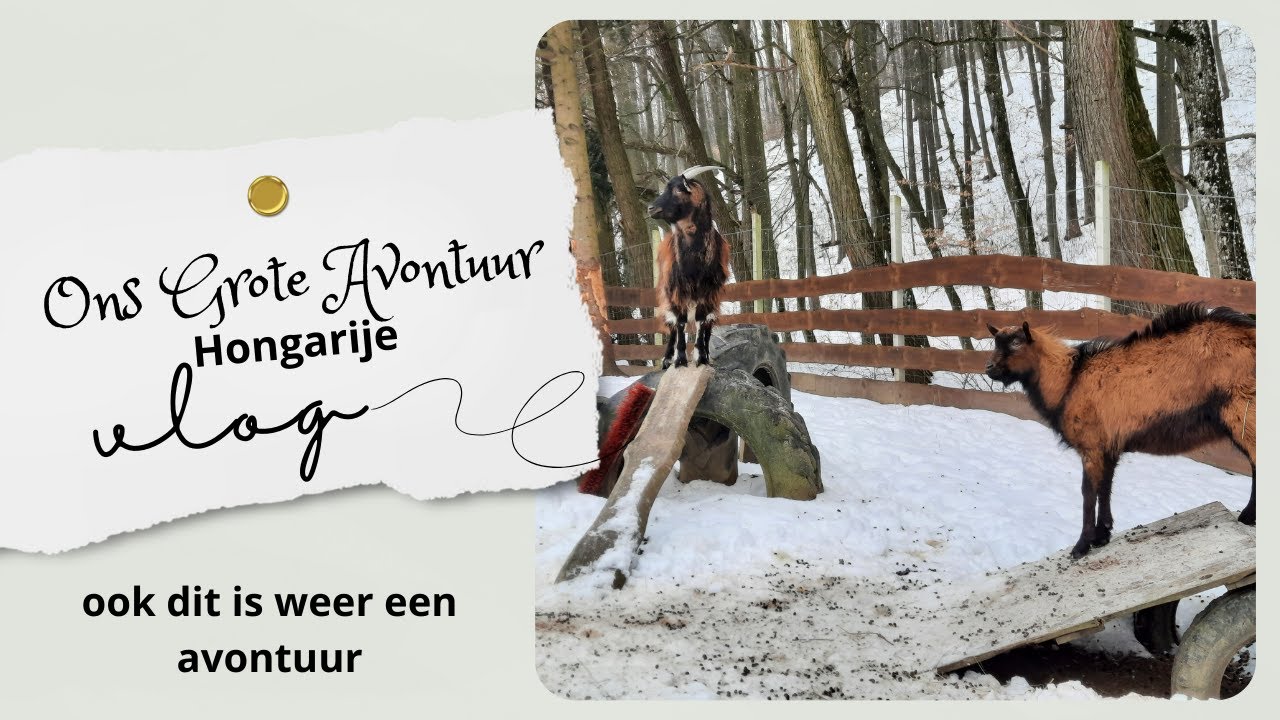 Het Zit Allemaal Tegen | wonen in Hongarije #437