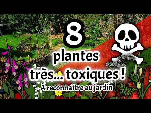 8 Magnificent but......TOXIC PLANTS! - Discover - Recognize -