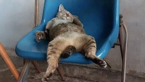 DORMIR DANS DES ENDROITS ZARBIS 3