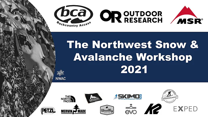 NSAW 2021 - Sarah Lange: Data & Observations of Ch...
