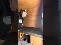 Table to bed and back again - SunRay 149