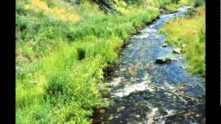 Canmore Creek Fish Habitat - Log-Wall.mpg