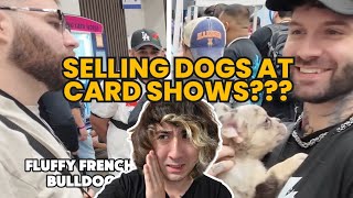 Would You Trade Your Dog for a Pokemon Card?