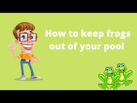How You Can