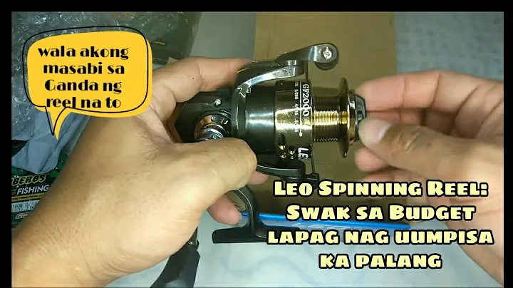 Murang Leo Spinning Reel and Proberos braid Line U...