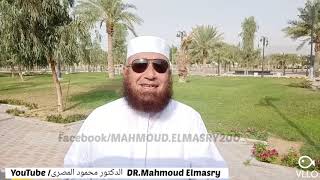 ( 13 ) هنا الجنة ( ما أول طعام ٍ يأكله أهل الجنة ؟! )  --  دكتور محمود المصرى ( أبو عمار )