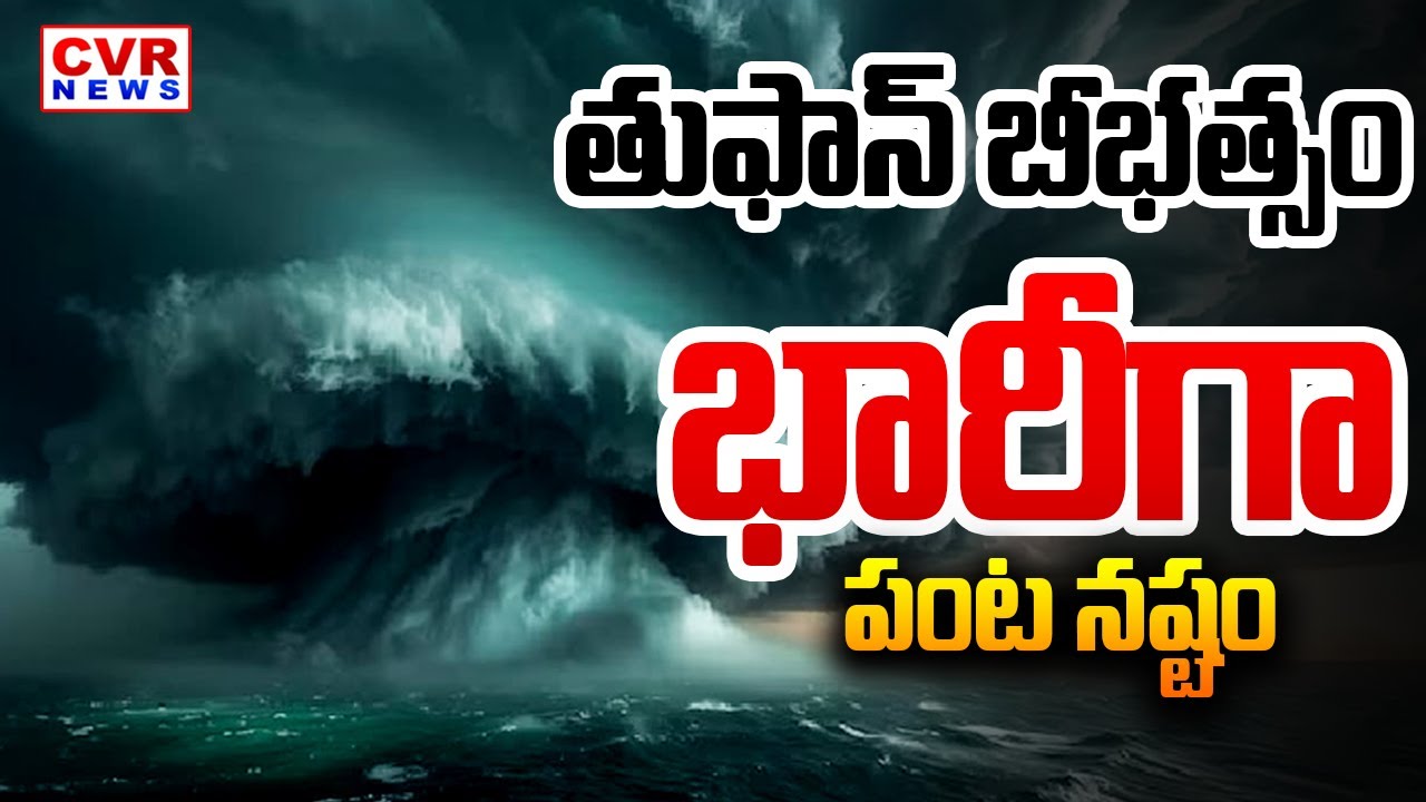 తుఫాన్ బీభత్సం.. భారీగా పంట నష్టం | Montha Cyclone Effect Heavy Damage ...