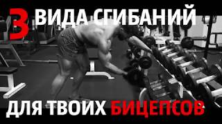 Три простейших упражнения на развитие бицепсов Три простейших упражнения на развитие бицепсов