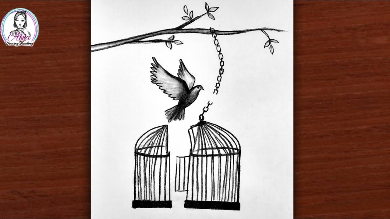 How to Draw a Bird Inside a Cage: Easy Step-by-Step Guide