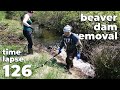 Manual Beaver Dam Removal No.126 - Fast Work With My Wife - Time-Lapse Version