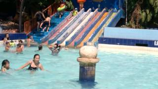 WP 20160101 12 24 18 Pro